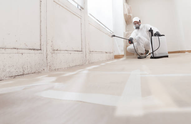 24/7 Emergency Attic Mold Removal experts in Bogota, NJ