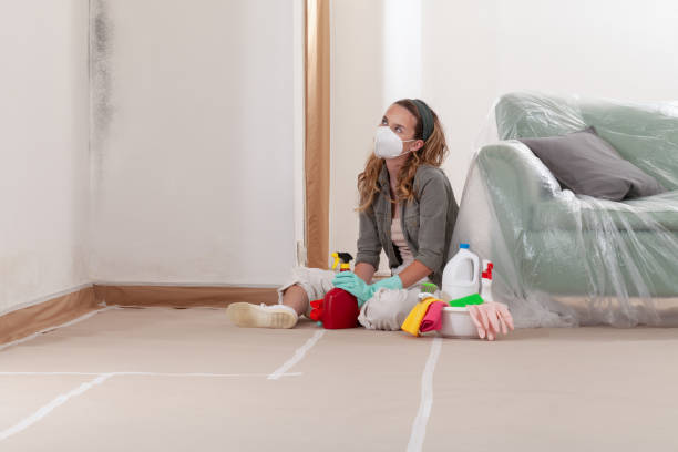 Reliable Attic Mold Removal contractor in Bogota, NJ by WQB Mold Removal